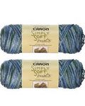 Bulk Buy: Caron Simply Soft Yarn Paints (2-Pack) (Spring Brook)