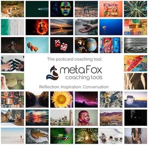 metaFox - 