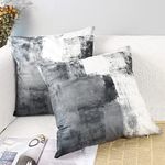 OYIMUA Set of 2 Decorative Velvet Cushion Covers 45 x 45 cm Abstract Art Decor Pillow Case Grey White Cushion Cover 18x18 inches for Outdoor Patio Garden Blench Living Room Sofa Farmhouse Decor