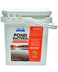 Pondworx Pond Bacteria Packets – 12 Packets - Cleanses Water & Removes Odors, Easy to Use Natural Bacteria Packets, Treats 1.5 Acres Compared to 1 Acre - Manufactured in USA