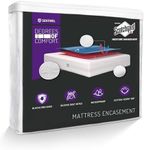 Queen Size Mattress Encasement Bed 