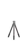 Benro Tortoise Series TTOR24C Columnless #2 Carbon Fibre Tripod and GX30 head 4 sections head