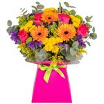 Bright and Colourful Fresh Flower Bouquet Delivered in Presentation Vase | Pink Roses, Germinis, Chrysanthemums & Seasonal Greenery | Pink Card Vase and Green Satin Ribbon | AMFL001