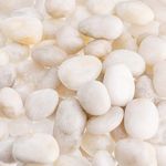 Dicunoy 6LB White River Rocks, 1-2 Inch Natural Polished Stones for Plants, Smooth Rocks for Landscaping, Vase Filler, Aquarium, Landscaping, Fireplace Bottom, Terrarium, Fairy Garden Decor