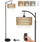 Arc Floor Lamp for Living Room with