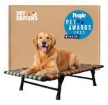 PETSAPIENS Folding Elevated Dog Bed Large Size(42x24x8Inch)| All-Seasons Comfort with Breathable Nylon Mesh | Dog Cot Bed for All Breeds I Anti-Skid and Waterproof Bed for Dogs|Multicolor