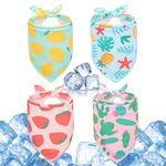 SCENEREAL Dog Cooling Bandana for Hot Summer, 4 Pack Breathable Puppy Triangle Scarfs Bibs, Adjustable Soft Pet Handkerchief, Cute Fruit Patterns, Cooler Towels Wraps for Small Medium Large Dogs