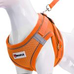 WOOFLIX Dog Harness for Small Dogs, Puppies and Cats | Suitable for Small Size Dogs, Cats & Puppies of 7kg-10kg | Reflective Soft Padded Dog Harness with Secure Fit | Orange (7kg-10kg Dog & Cat)