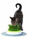 Catit Senses Grass Garden,1.63 pounds