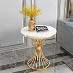 NEST NATURE HAVEN Round Coffee Table End Table Metal Sofa Side Tables, Small Creative Corner Table for Living Room Balcony Bedroom Nightstand Home Décor Furniture (Golden White)