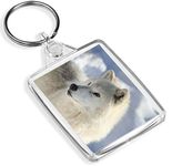 Pretty White Wolf Keyring - IP02 - Wolves Husky Dog Wild Snow #16238