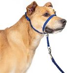 PupSensei Headcollar for Dogs, Extra Soft Padded, Reflective, No Pull Dog Collar, Gentle Leader for Dogs with Durable Nylon Leash, Padded Handle - Navy Blue (Medium)