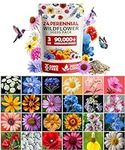 90,000+ Wildflower Seeds - Bulk Per