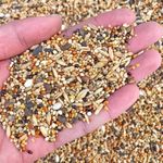 Canoodle Premium Bird Food for All Life Stages, Selected Mix Seeds. (Budgies 450gm)