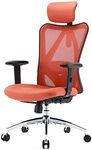 SIHOO Ergonomic Office Chair High B