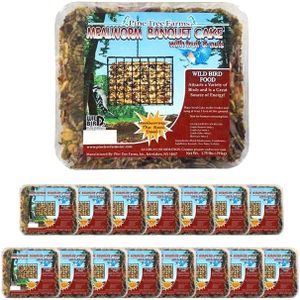 Pine Tree Mealworm Banquet Seed Cakes, 1.75 lbs., Pack of 16