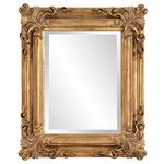 Howard Elliott Collection 56007 Edwin Rectangular Mirror, 19-Inch by 23-Inch, Rustic Antique Gold