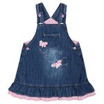 Peacolate 3Months-24Months Baby Girl Denim Casual Cute Dress(Pink Butterfly,6-9M)