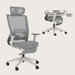 FLEXISPOT Ergonomic Office Chair, Folding Office Chair for Small Spaces with Adjustable Lumbar Support, Armrest and Headrest, Home Office Mesh Desk Chair with Footrest, Flora & Fauna Serie - SEAL Gray