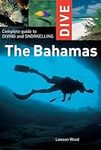 Dive the Bahamas: Complete Guide to