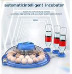 Egg Incubators