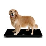 Pet Scale For Large Dogs