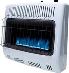 Mr. Heater F299730 Corporation F299