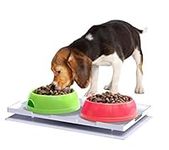 Ant Proof Plate for Dog & Cat Food 