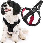Gooby Sporty Escape Free Harness, M