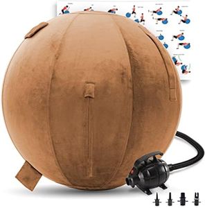 Exercise Ball 65cm/26in, Tan Mirco Plush Soft Cover with Electric Quick Pump For Yoga, Pilates, Fitness Balance Stability, Office Ball Chair Seat. Soft & Slip Resistant, Pro Guide