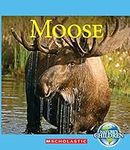 Moose (Nature's Children) (Nature's