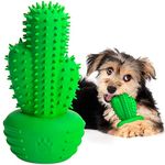 Dog Toys for Small Dogs Dog Toothbrush for Teething Cleaning, Rubber Dog Squeaky Toys for Puppy Christmas Dog Gifts,