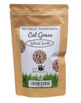 Cat Grass Seeds - Wheat (150g) by Cat FurNature