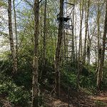 A1 Decoy High Seat Hunting Tree Stand