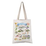 VAMSII California Tote Bag California Souvenir Gifts California State Shoulder Bag Retro California Welcome Gifts Grocery Bag, Beige, Canvas