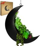 Hanging Moon Planter for Moon Room Decor - Great for Succulents, Air Plant, Mini Cactus, Faux, Artificial Plants-Boho Hanging Planters for Indoor Plants, Witchy Gifts for Women, Birthdays,Plant Lovers