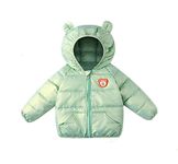 Bold N Elegant Cartoon Bear Kids Standard Length Wool Blend Shiny Sparkling Quilted Winter Warm Hood Jacket Coat Bomber Puffer Jacket for Boys Girls Kids (4-5 Years, Green)