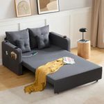 Busaurus 3 in 1 Loveseat Sleeper So