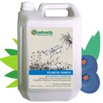 PETVEDA Ayurvedic Blueberry Conditioning & Volumizing Professional Pet Salon Suphate Free Shampoo (5 Litre) for Dogs & Cats (5000ml)