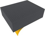 FS100RS 100 mm (4 Inch) Pick Pluck Raster foam tray self-adhesive