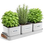 Green Thumbz Herb Pots for Kitchen Windowsill - Set of 3 Warm Stone Herb Planter Indoor with Leather Handled Tray - Ideal for an Indoor Herb Garden, Plants and Flowers - Labels Included