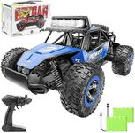 BEZGAR TB141 RC Cars-1:14 Scale Rem