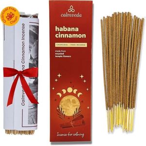 Havana Cinnamon Incense Stick Exotic - Calming Meditation Incense (80 Sticks) Charcoal Free, Made from Upcycled Flowers | Give Gift of Fall Incense with Spicy & Sweet Tobaco Aroma (Incienso de Canela)