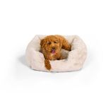 Best Friends by Sheri Soothe & Snooze Lounge Lux Memory Foam Rectangular Dog Bed, Washable, Oyster, 20" x 15"