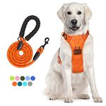 PoyPet No Pull Dog Harness and 5 Feet Leash Set, Release on Neck Reflective Adjustable Pet Vest, Front & Back 2 D-Ring and Soft Padded Pet Harness with Handle for Small to Large Dogs(Orange,L)