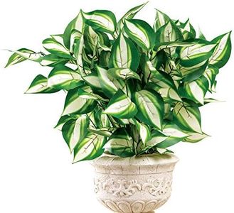 Collections Etc Hosta Bushes Picks - Set of 3