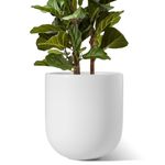 LE TAUCI 12 Inch Pots for Plants, Ceramic Large Planters for Indoor Plants, Indoor Plant Pots for Home Garden Patio Office, Planter Pots with Drainage Hole and Rubber Plug, White