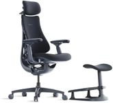 LiberNovo Dynamic Ergonomic Office 