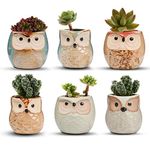 T4U 6CM Ceramic Succulent Planter Pots Mini Size Set of 6, Cute Owl Bonsai Pots Home and Office Decoration Desktop Windowsill Gift for Gardener for Birthday