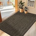 COSY HOMEER Nonslip Door Mat for Indoor, Absorbent Dirt Trapper Front Entryway Door Mat, 100% Polyester Welcome Entrance Mat Rug Modern Style, 60 x 90 cm, Brown